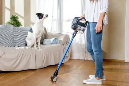 Una aspiradora con filtro y boquilla especial para los pelos de mascota s muy efectiva