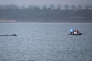 Una ballena varada en el mar Báltico logra liberarse; aún enfrenta una dura tarea