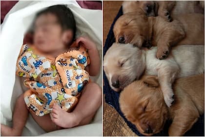 Una bebé fue rescatada en India luego de haber sido abandonada en un campo