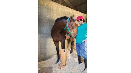 Una bota con hielo para desinflamar después del entrenamiento matinal. El movimiento en la Villa comienza antes del amanecer