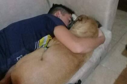 Una bóxer murió en los brazos de su dueño a causa de la pirotecnia en Esquel