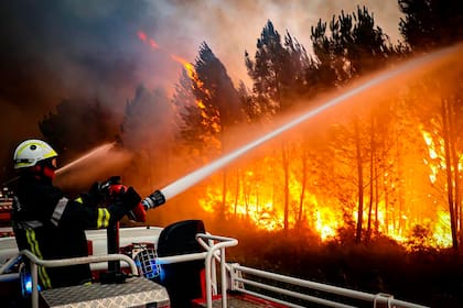 Una brigada de bomberos de Gironda, Francia, combate un incendio forestal en Landiras