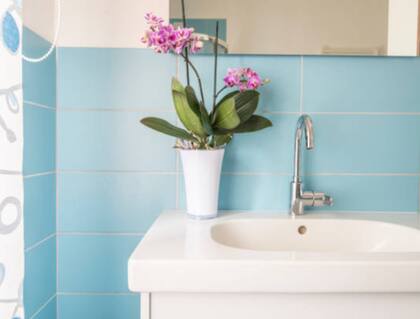 Una buena ventilación ayuda a que los malos olores no sean permanentes. Foto: iStock