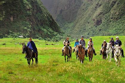 Una cabalgata en Hacienda Zuleta, en Quito, Ecuador, con caballos zuletanos.