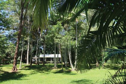 A esta cabaña en Byron Bay rodeada de árboles inmensos se puede acceder exclusivamente por Airbnb, que la ofrece como un hospedaje de ensueño.