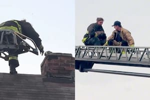 Vieron una cabecita asomar por la chimenea y al descubrir lo que pasaba llamaron a los bomberos