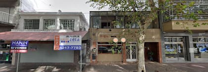 Una canción coreana se ubica detrás del árbol.