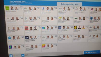 Una captura de pantalla de cómo se ven los candidatos de Neuquén