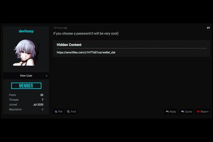 Una captura del foro donde se ofrece la billetera que contendría el equivalente a US$ 690 millones