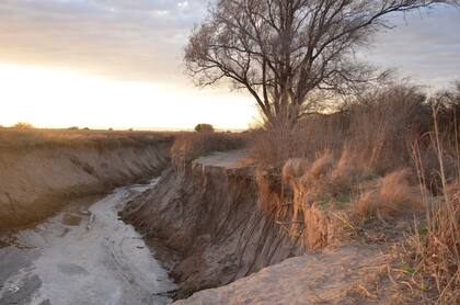 Una cárcava que se abre en medio del terreno