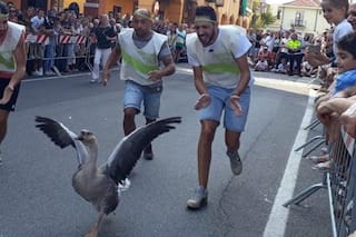 Un viaje al Piamonte en busca de los ancestros