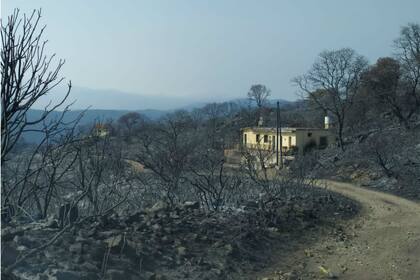 Una casa quedó en medio de los incendios en Córdoba