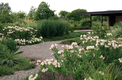 Una circulación que invita a descubrir el jardín, conectando los distintos espacios, cada uno de ellos con una paleta de color propia. Alstroemerias, salvias, lavandas, stipas nativas y arbustos nativos dan estructura.