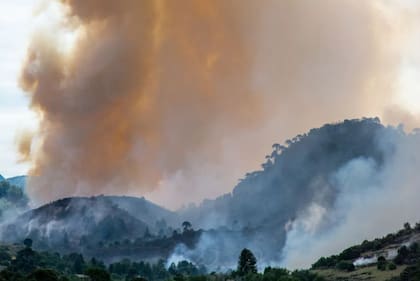 Una columna de huno se levantan por encima de los bosques