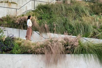 Una combinación de diferentes gramíneas acompañan la escalera en este jardín en barranca