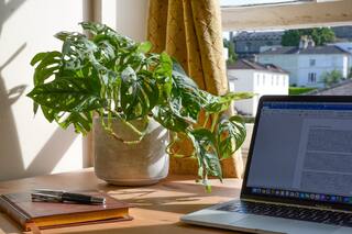 Miami: buscan nómadas digitales que hablen español para trabajar home office