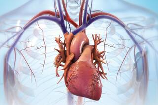 No falta tanto para que se pueda imprimir un corazón humano