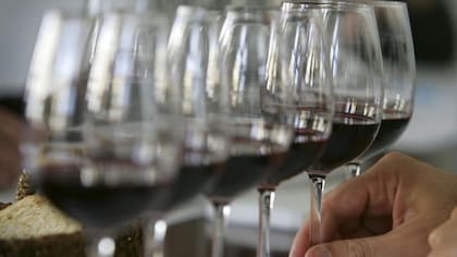 "No hay cantidad de alcohol que sea segura" ha planteado la Organización Mundial de la Salud