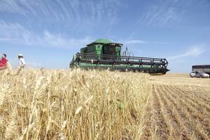 Una cosecha de trigo en Brasil