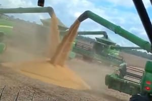 La cosecha récord de soja en Brasil desbordó la logística y generó filas de camiones de hasta 30 kilómetros