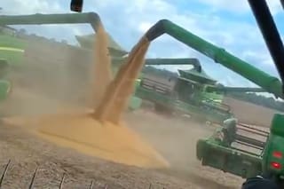 La cosecha récord de soja en Brasil desbordó la logística y generó filas de camiones de hasta 30 kilómetros