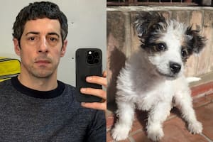 Una cuenta de X comparó a su nuevo perro con Esteban Lamothe y el actor tuvo un gesto que se volvió viral (Foto: Instagram @estebanlamothe / X @ChicaKosovo)