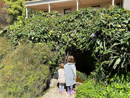 Una curiosidad: la cascada oculta en el jardín.