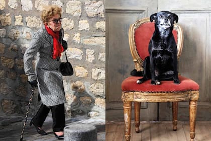Una dama parisina y un perro retratado en Luján