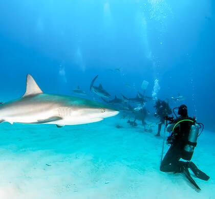 Una de las actividades destacadas de la isla es hacer snorkel en sus aguas cristalinas