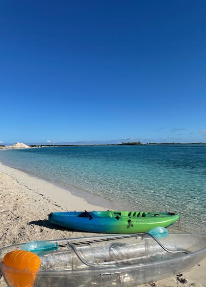Una de las actividades más destacadas son los recorridos en kayak por las aguas traslúcidas de Mangrove Cay.