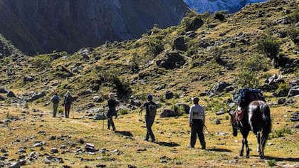 Una de las actividades que más realizan los turistas en el parque es el 'trekking', conocido en español como senderismo y en el que básicamente se camina y disfruta del paisaje
Foto: Cortesía PromPerú