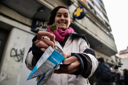Una de las "adquirentes" muestra la primera tanda de la marihuana legal en Uruguay que comenzó a venderse el 19 de julio