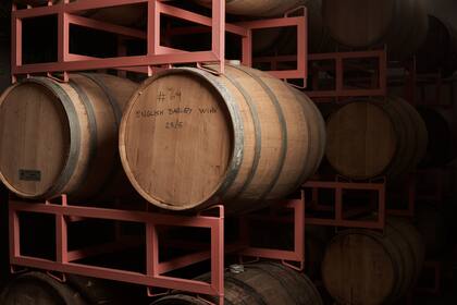 Una de las apuestas de Juguetes Perdidos fueron las cervezas de guarda; por eso, lo primero que llevaron a la fábrica fueron 64 barricas