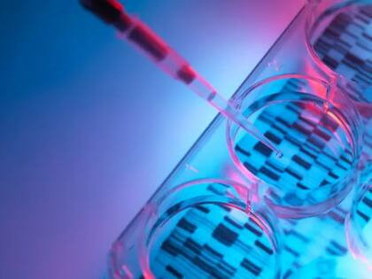 Una de las áreas con mayor proyección en los próximos años es el de la bioingenieria