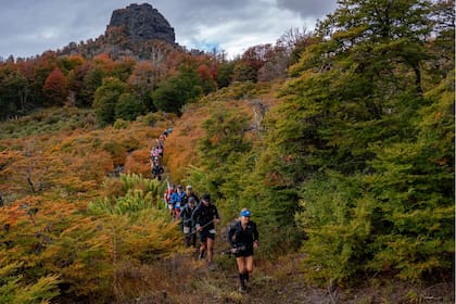 Una de las carreras que hay en abril 2026 en la Argentina es Patagonia Run