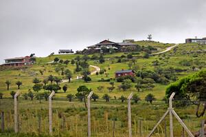 Sindicalista. El Gobierno pide a Uruguay que no le devuelva los bienes a Balcedo