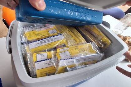 Una de las conservadoras donde se intentó hacer pasar la droga