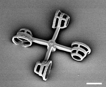 Una de las dos micromáquinas creadas para las algas: el "scooter" y el rotador (esta foto)