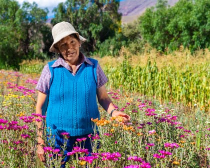 Una de las floricultoras de Maimará