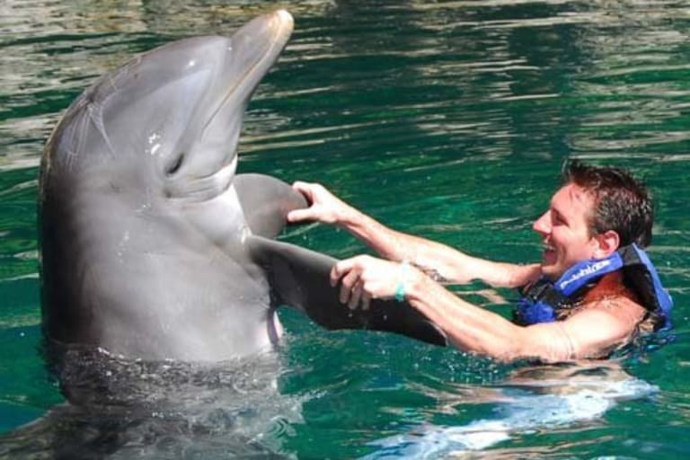 El desopilante hilo de Twitter con fotos de Messi que se hizo viral - LA NACION