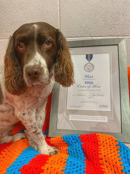 Una de las fotos de Max junto al reconocimiento que recibió por su aporte a la salud mental de la gente Foto: Facebook Max Out in the Lake District