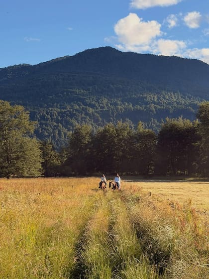 “¡Saludos desde la Antártida!”. Las vacaciones de Michael Douglas, Catherine Zeta-Jones y sus hijos en el Sur “¡Saludos desde la Antártida!”. Las vacaciones de Michael Douglas, Catherine Zeta-Jones y sus hijos en el Sur