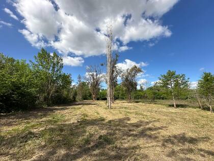 Una de las fraciones de terreno en La Lonja, Pilar, con vegetación consolidada y entorno natural, apta para desarrollo residencial