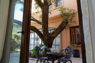 Proyectaron una mansión de estilo español, pero allí había tres árboles añosos: cómo lo resolvieron