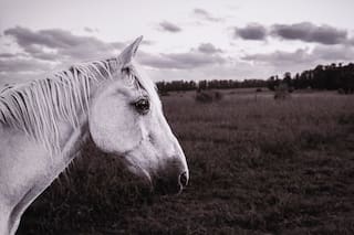 Julian Lennon visitó Uruguay de incógnito y quedó fascinado con la belleza del paisaje: se exhiben sus fotografías