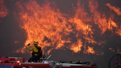 Una de las más temidas consecuencias de la sequía son los incendios forestales, como los que afectaron el estado en 2019.