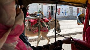 One of the best ways to experience Mogadishu is from inside a rickshaw