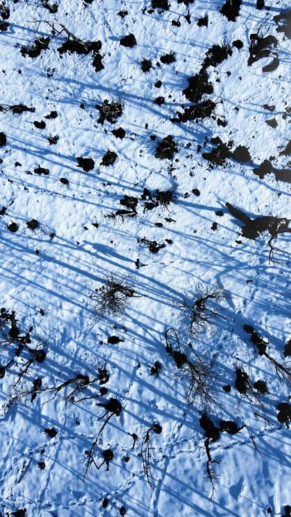 Una de las pantallas presenta una vista aérea de un bosque quemado