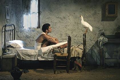 Una de las películas más nominadas