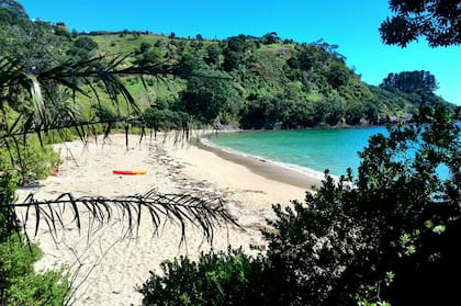 Una de las playas paradisíacas ubicadas en la isla Waiheke,  en el golfo de Hauraki, a 35 minutos de viaje por ferry desde Auckland, en Nueva Zelanda.